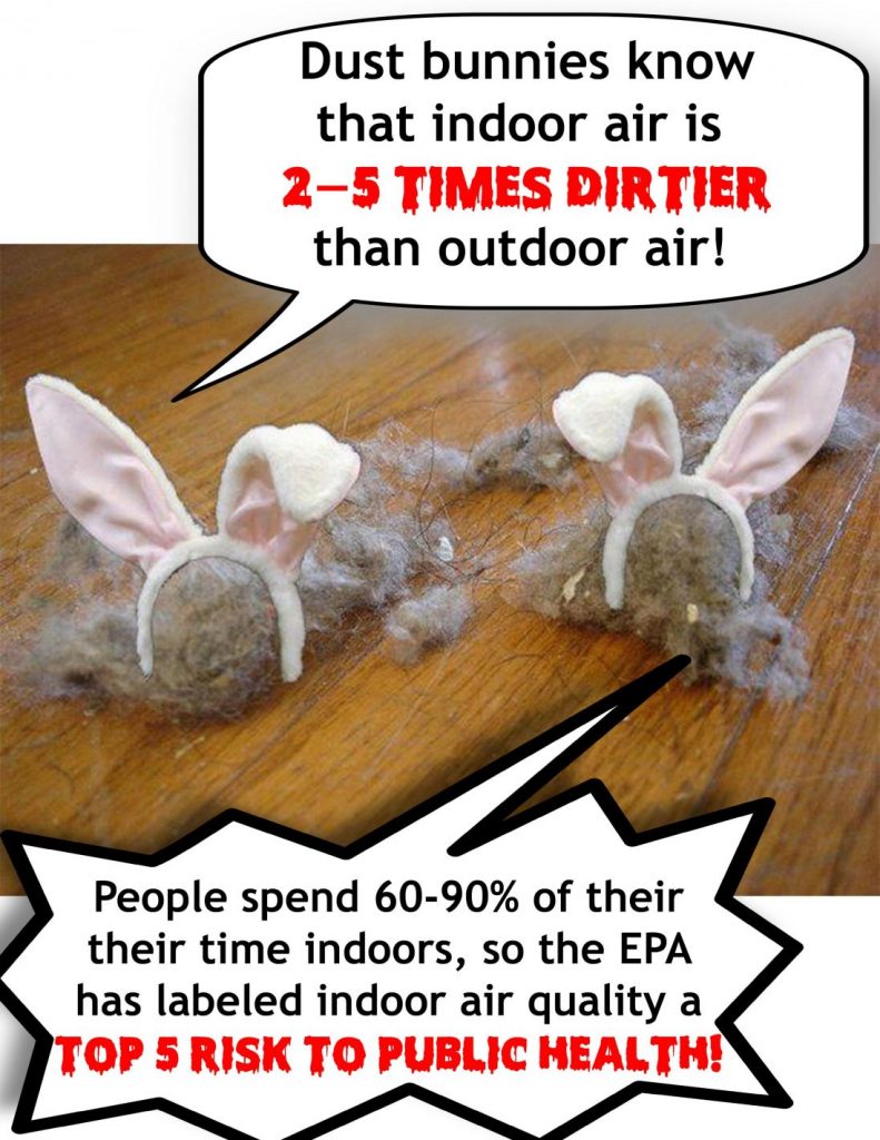 Aeroseal Graphic Dust Bunnies